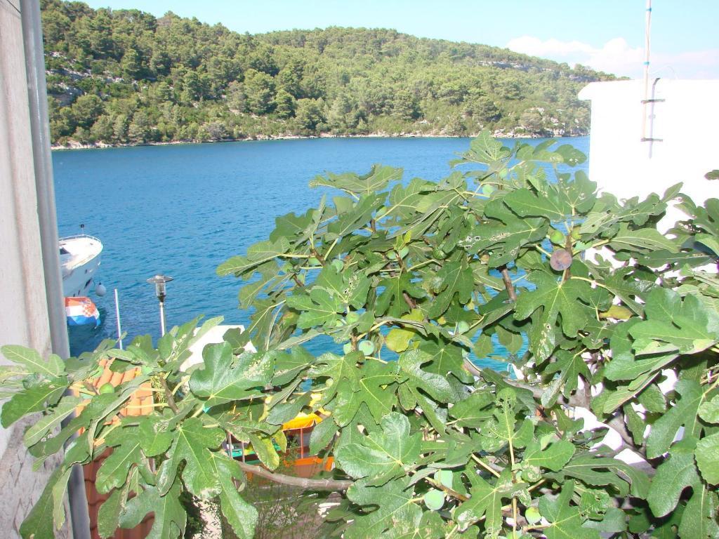 Sea House Mljet Hotel Polače Habitación foto